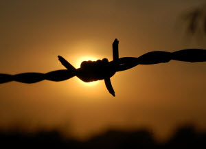 Barbed wire image