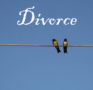 Birds on a wire image