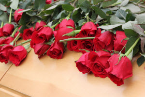 Roses on a casket image